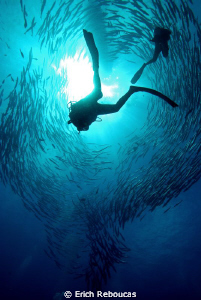 Barracuda show by Erich Reboucas 